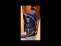 Bulldog Restoration call 405-990-8481 for 24hr emergency water removal and structural drying
