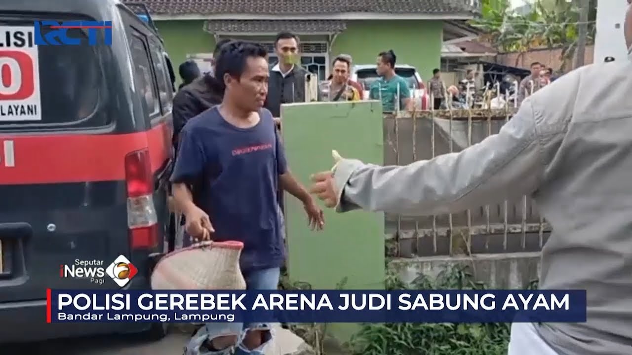 Polisi Gerebek Arena Sabung Ayam Berkedok Kontes Ayam Hias di Bandar Lampung #SeputariNewsPagi 12/01