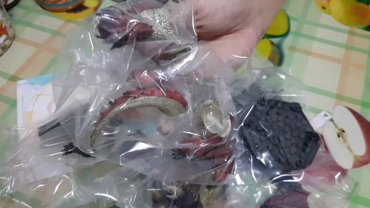 Scrubby Unboxing: Monster Hunter Merchandise from AmiAmi