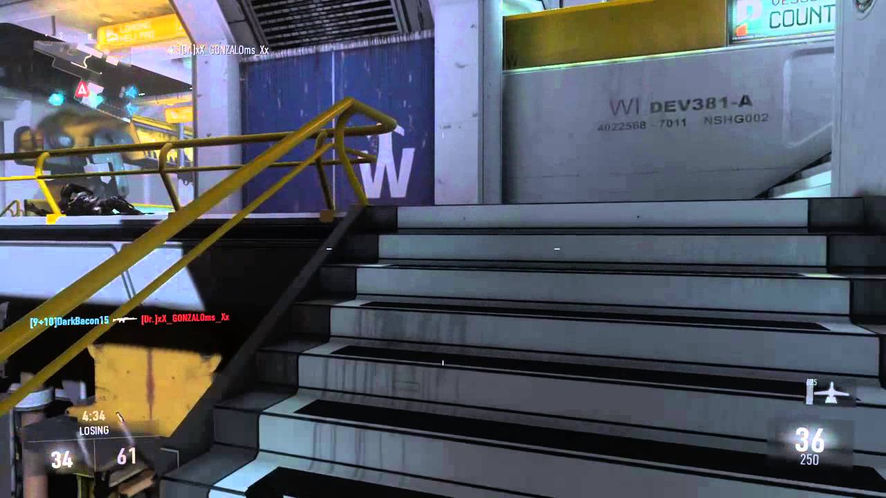 The Ameli Royalty is amazing (Call of Duty®: Advanced Warfare PS4)