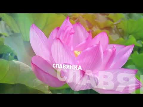 Хасанский район