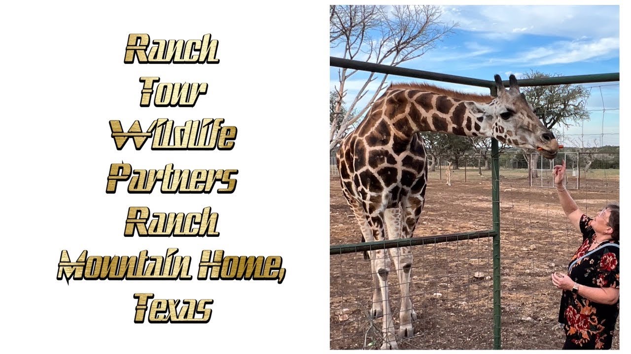 Ranch Tour Wildlife Partners Ranch, Mountain Home, Texas 10/2022 YouTube