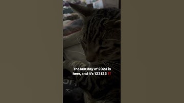 Last Day of this year is 123123 and it’s purr-fect ! |WujiKitty