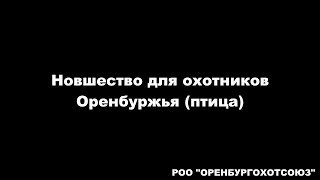 Новшество для охотников Оренбуржья