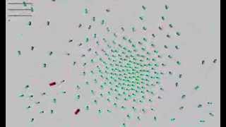 Boids - Flocking Behavior