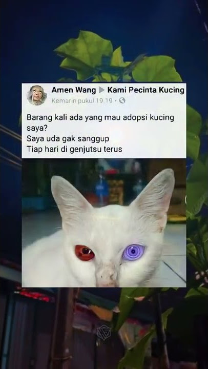 Story Wa 30 Detik Kekinian || Story Wa Meme || Status Wa Viral Terbaru 2022   #shorts #storywa #meme