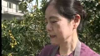 20120309《草根菩提》319出去走走--蘭陽好風采