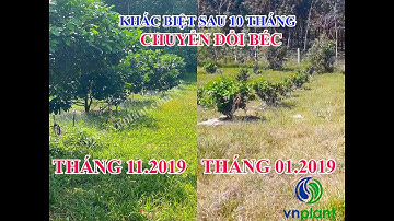 Chuyển đổi qua BÉC TƯỚI TIẾT KIỆM NƯỚC bù áp không cần dùng máy bơm sau 10 tháng sử dụng