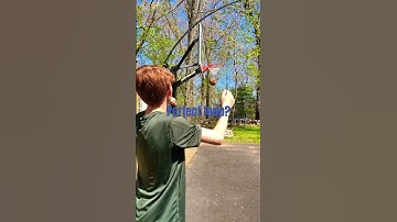 Perfect loop? #funny #loop #viral #funny #basketball