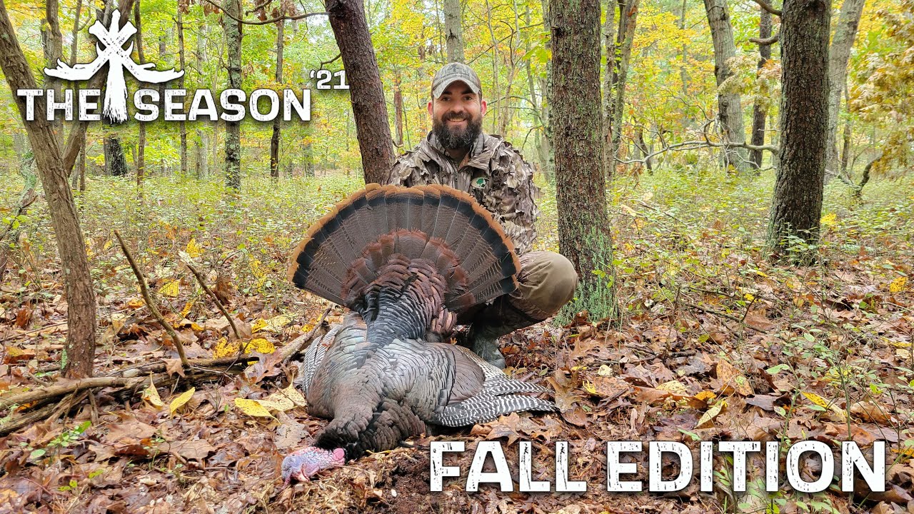 FALL TURKEY HUNTING - TARGETING LONGBEARDS AND GOBBLER YELPING LESSON FROM AN EXPERT