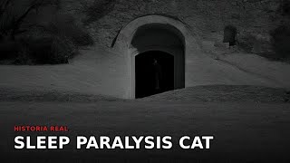 Sleep Paralysis Cat #Shorts