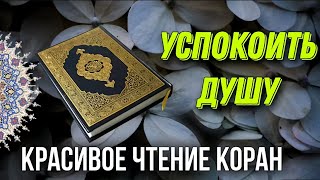 СЛУШАЙТЕ КРАСИВОЕ ЧТЕНИЕ КОРАН! УСПОКАИВАЕТ ДУШУ!