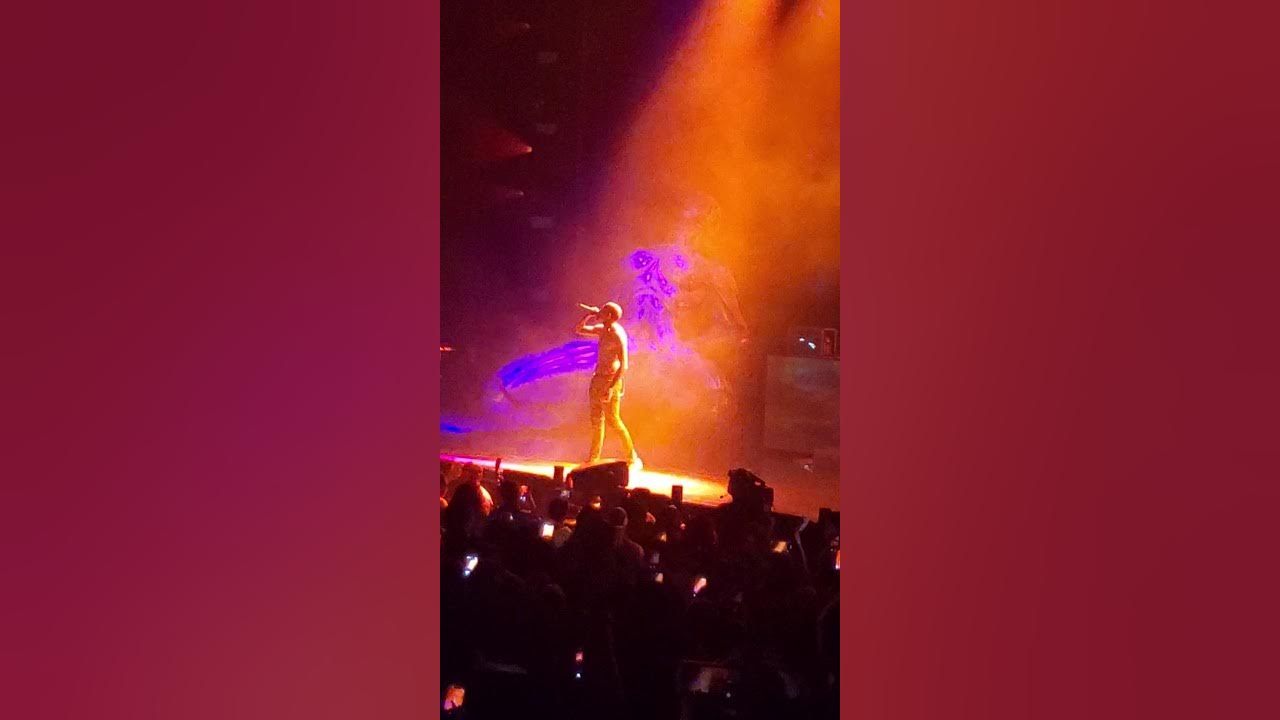 Indigo Tour Chris Brown Charlotte, NC - YouTube