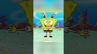 SpongeBob is saved #funny