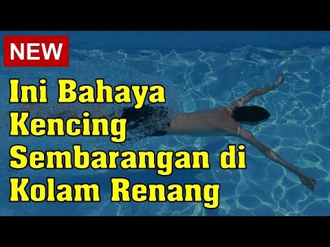 Video: Ini Betul-betul Berapa Banyak Gelen Kencing Di Kolam