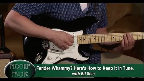 Fender Whammy? Here