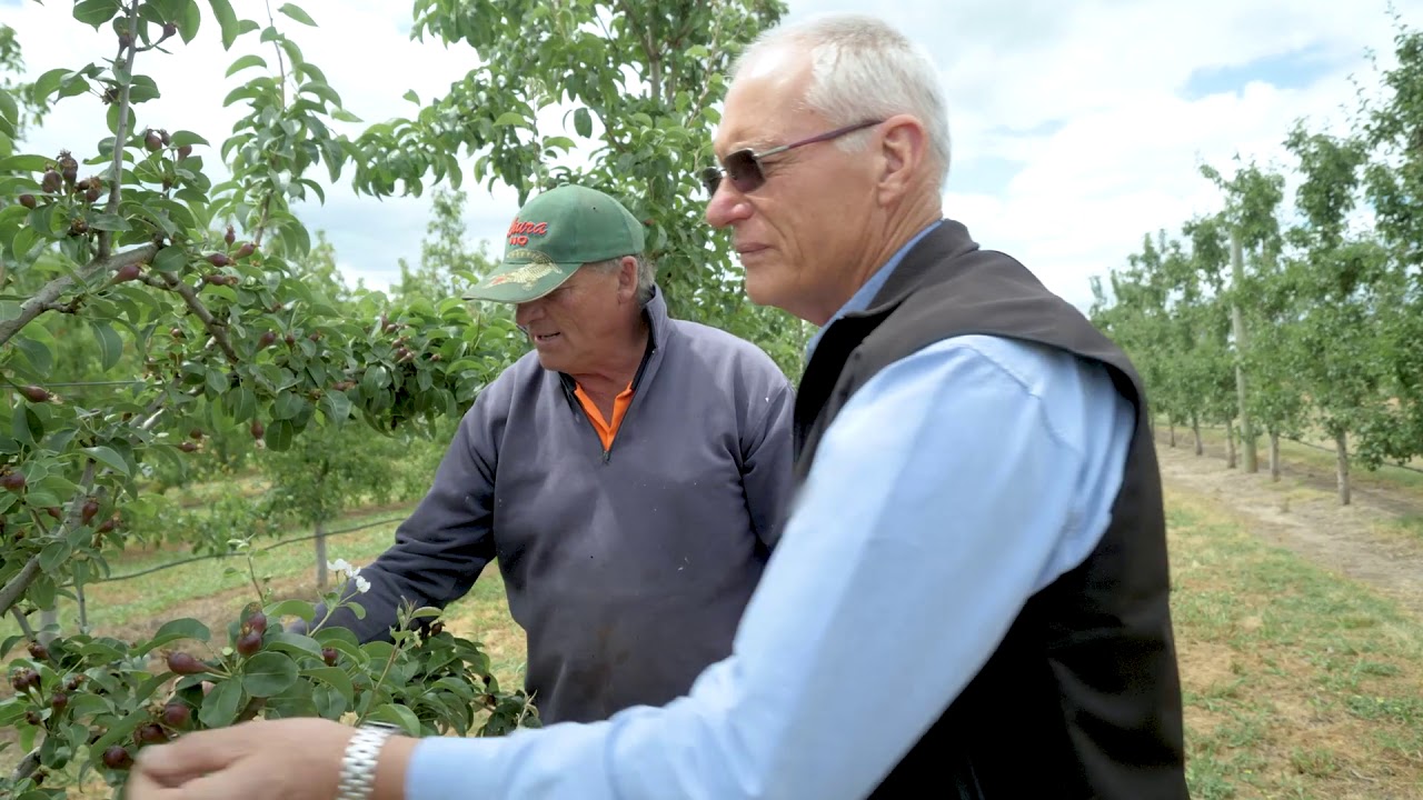 Luna® Sensation Fungicide for Pome and Stone Fruit Disease Control