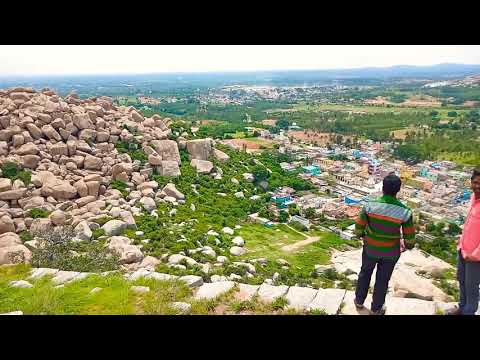 TEKAL TEKAL Adil Pasha