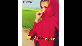 Nazar Na Tokhe Lage Sindhi New Song Whatsapp Status