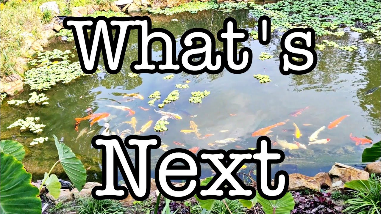 Getting Ready For An Unusual Trip