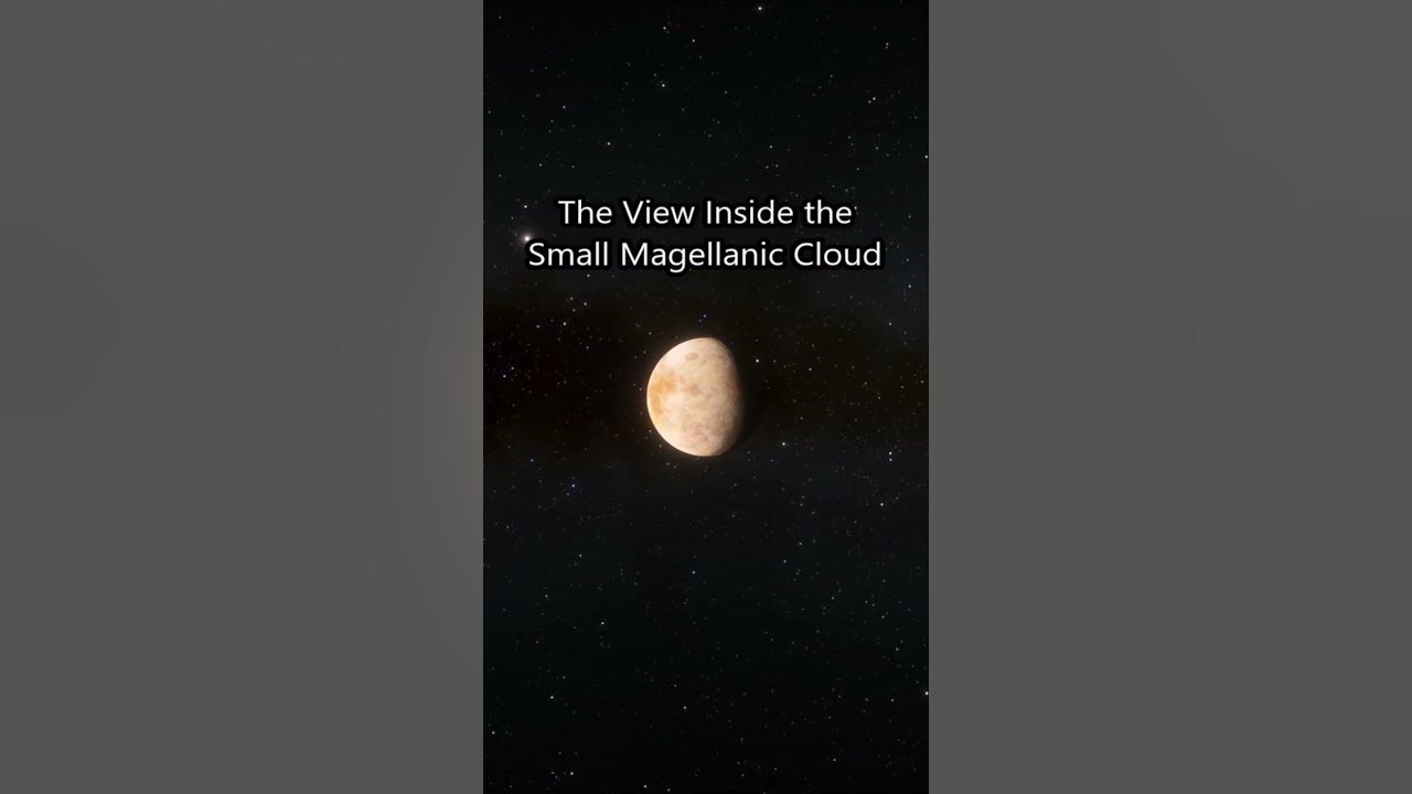 The View From the Magellanic Clouds...