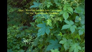 Elgar : Woodland Interlude from &#39;Caractacus&#39;