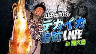 山田ヒロヒト-デカイカ追跡LIVEin屋久島-ルアーニュース増刊号爆乗りエギング2015春-付属DVD-PV
