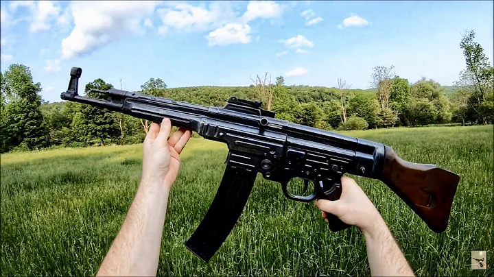 Full-Auto STG-44 - 天天要闻