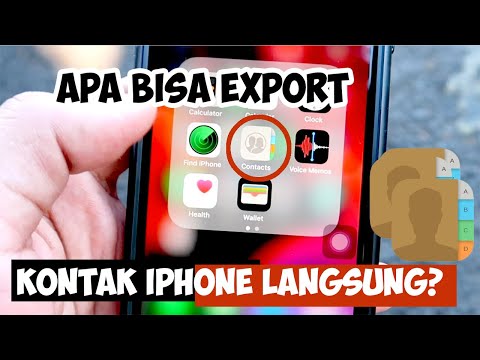 Apakah Kita Bisa Export Kontak di iPhone?