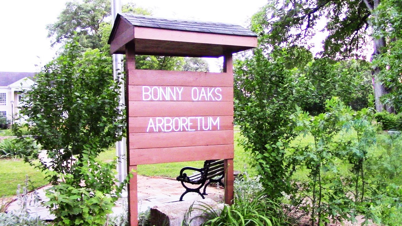 Bonny Oaks Arboretum in Chattanooga, Tennessee YouTube