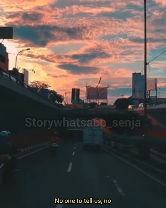 Zayn malik, zhavia ward (A whole new world) story wa