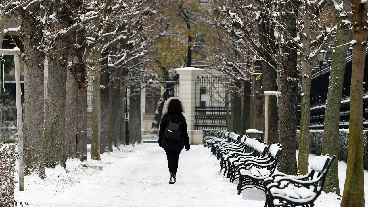 Erster Schnee des Winters in Wien | AFP