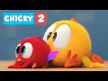 Where's Chicky? SEASON 2 | DART-THROWING | Chicky Cartoon in English for Kids