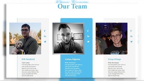 Responsive our team cards || profile cards || team section using Html & CSS || Card design