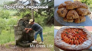 видео: #31 Как живётся в греческой деревне🇬🇷 Простая жизнь с видом на горы | Душевная выпечка картинка: #31 Как живётся в греческой деревне🇬🇷 Простая жизнь с видом на горы | Душевная выпечка