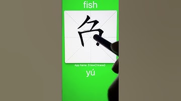 How to Write 鱼(fish) in Chinese? App Name :《ViewChinese》&《My HSK》