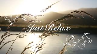RELAXING MUSIC 1: Music from Ludovico Einaudi (pt. 1) #trustinmusic #ludovicoeinaudi #relaxing