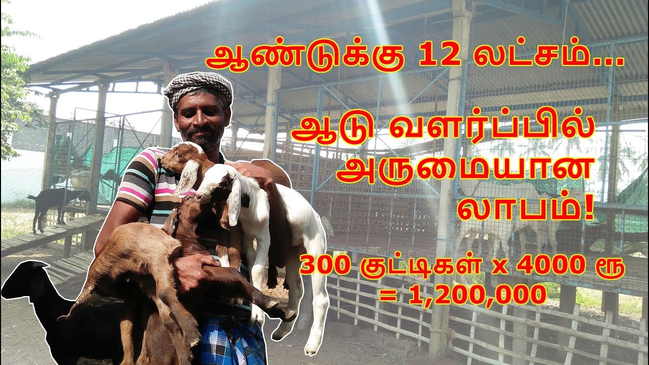 goat farm business plan in tamil