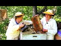 Доброе дело Занимаемся пчелами 60 лет Помогите продать пчел в хорошие руки