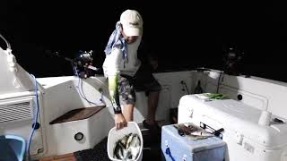 #8- catching big eye scad fish (matambaka)