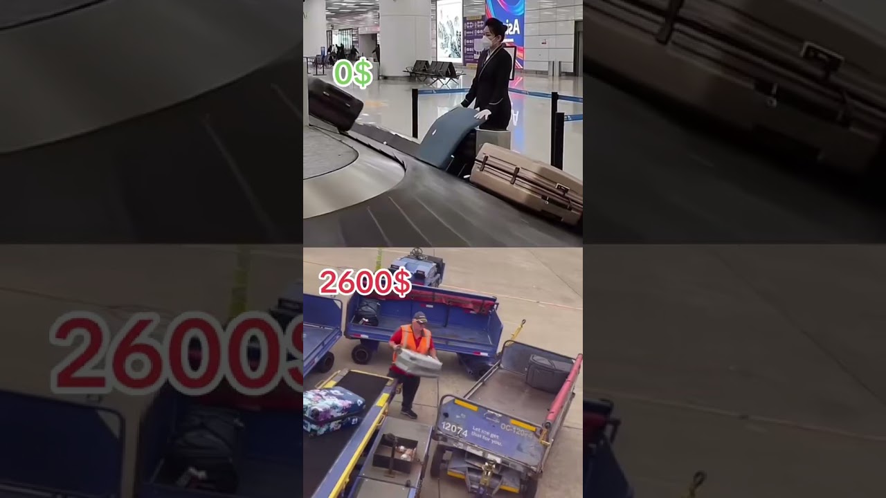 luggage damage comparison 😂 