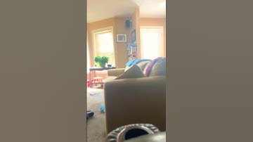 Yay I made my first loop!