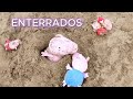 4 Peppa Pig y 1 George enterrados en la arena de la playa | Vídeos de juguetes para niños