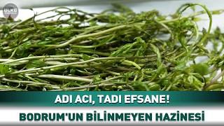 Adı Acı Tadı Efsane Bodrumun Bilinmeyen Hazinesi