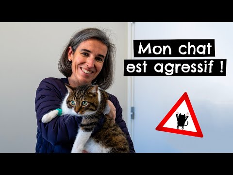 Vidéo: Pourquoi Un Chat Montre-t-il De L'agressivité ?