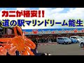 カニが激安！道の駅マリンドリーム能生のかにや横丁で贅沢かに