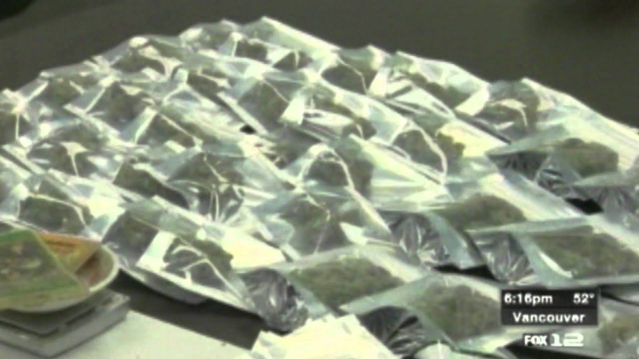 Spokane Business Owner Gets First Cannabis License Cannabis Classes Help Spark New Careers