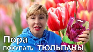 Готовимся к посадке тюльпанов. Где купила красоту? Приглашаю на выставку