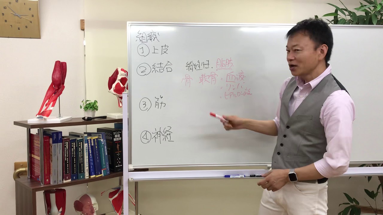 施術効果に差が出る「4つの組織」の理解／治せる治療家の教科書［AKS治療®︎アカデミー】山内義弘