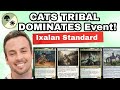 Will CATS TRIBAL Go 7-0?! (Ixalan Standard)